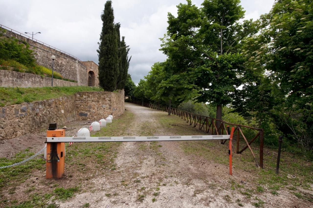 Hotel Vecchia Oliviera Montalcino Esterno foto