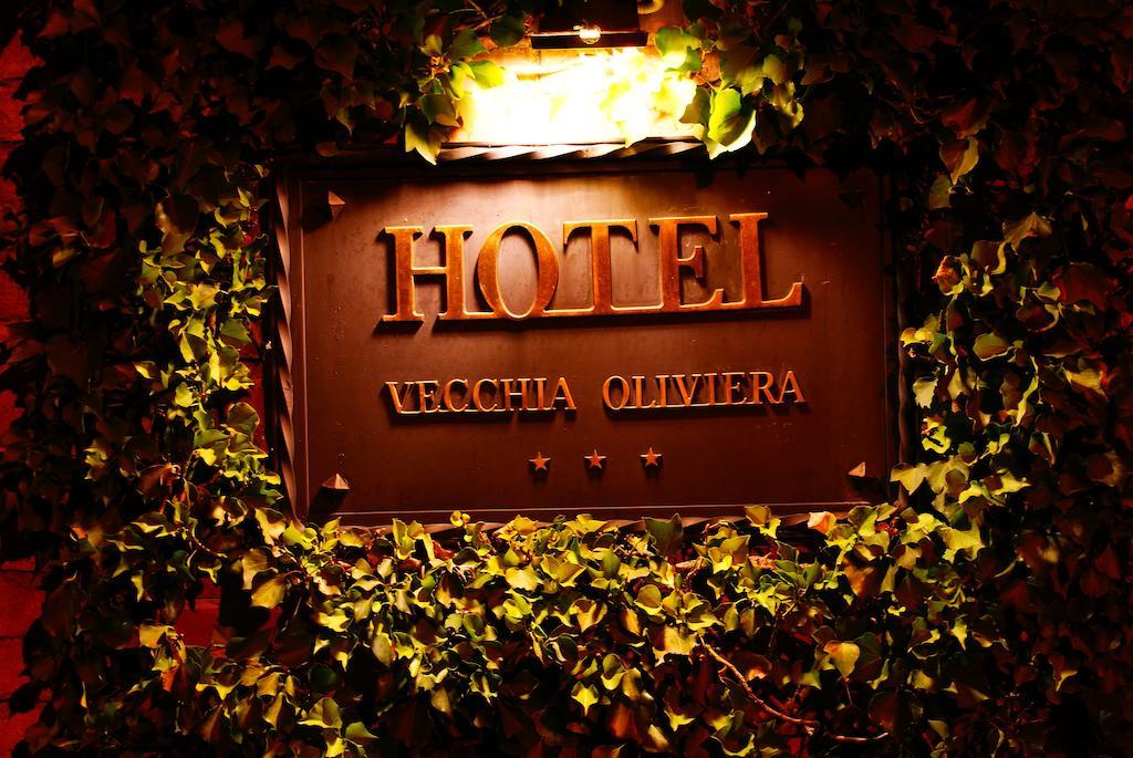 Hotel Vecchia Oliviera Montalcino Esterno foto